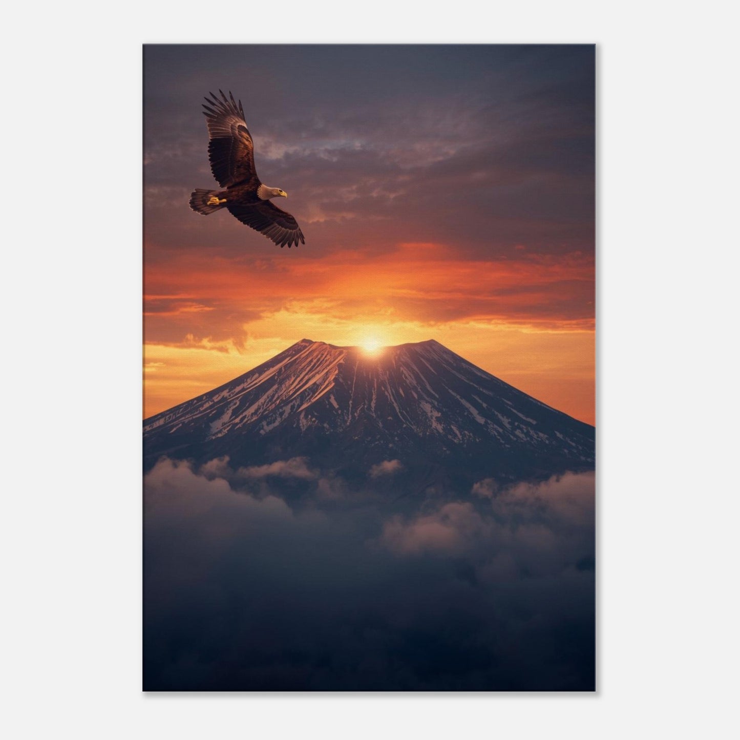 3b5c4656-a749-44df-84d6-db72af5a2d7e