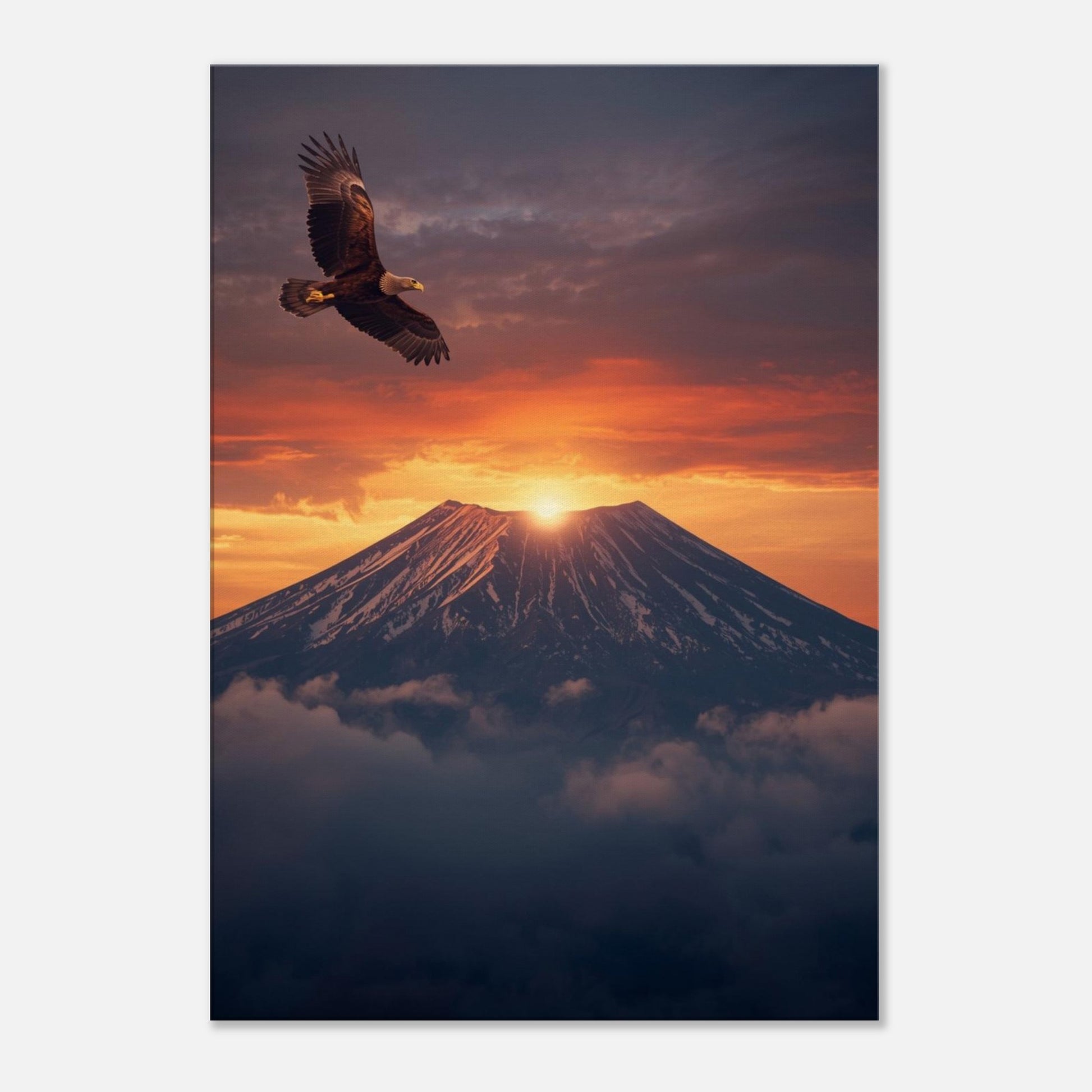 3b5c4656-a749-44df-84d6-db72af5a2d7e