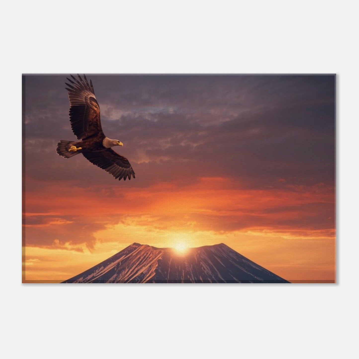 3ba51464-3124-4470-be61-13cbb8aef22a