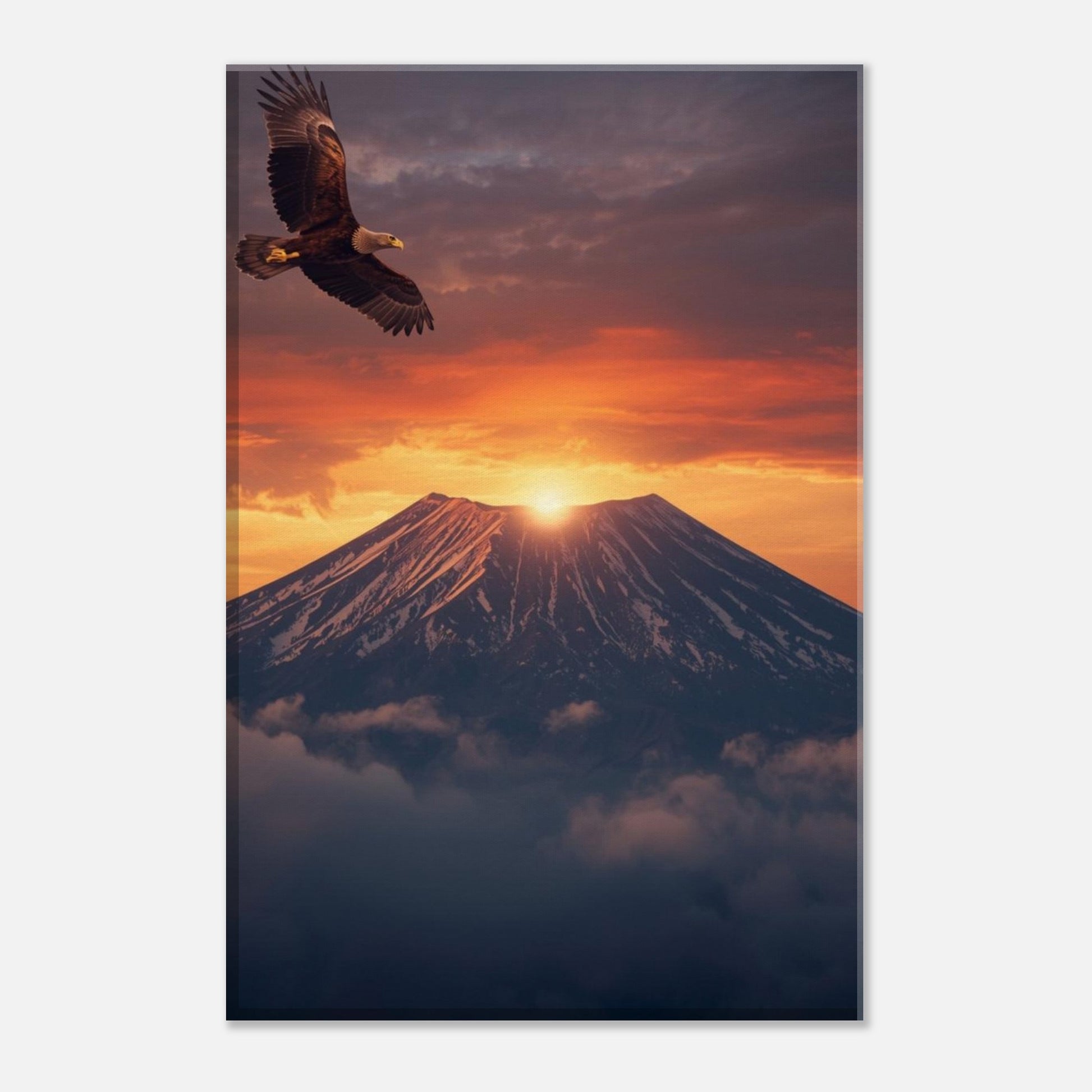 52423eac-0898-4329-9e45-8f78c2aa7630