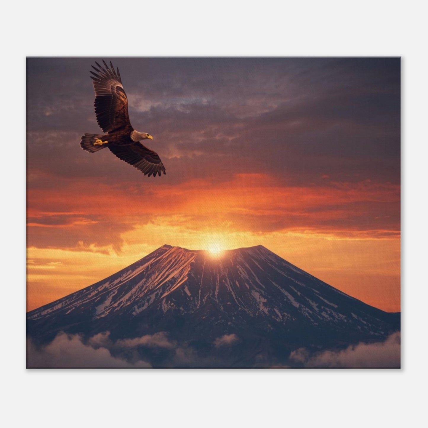 5258f5c4-2fc1-49a4-ae0e-9e722891de16