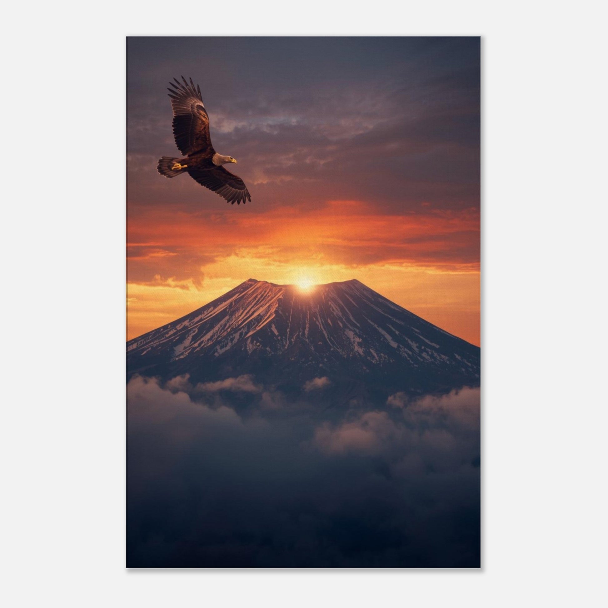 54c58ba5-74eb-4669-a2e1-1293f4303cc3