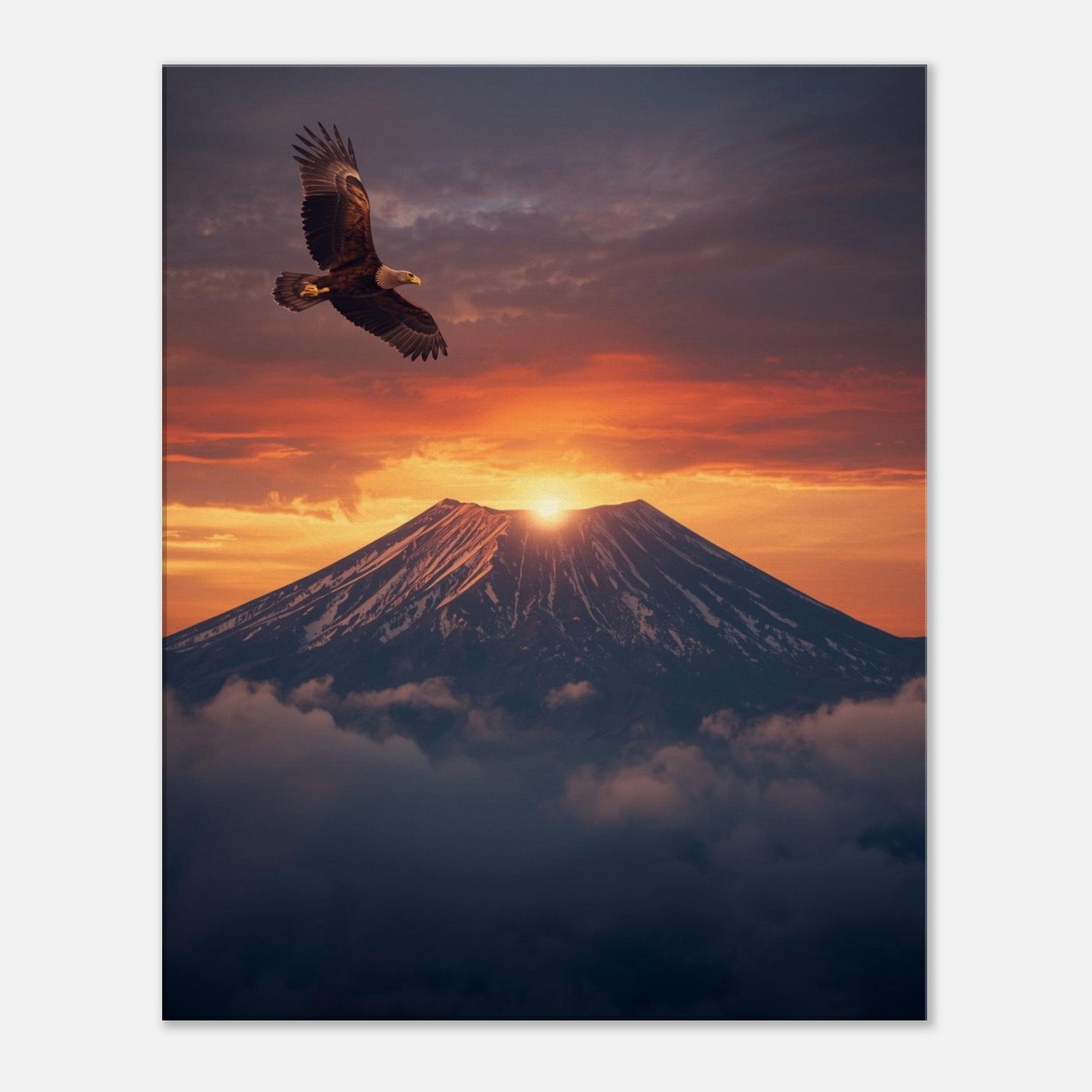 6343a036-a91e-4fe4-bf2b-249001d137b4