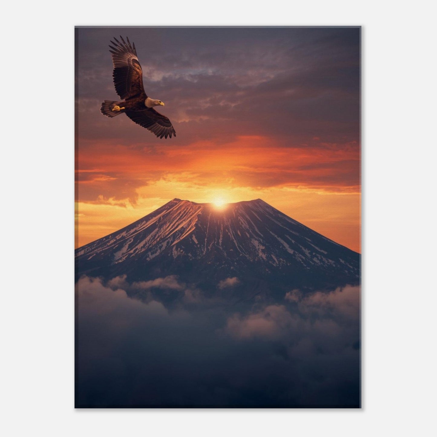 658cb21f-26d1-4cce-a7b0-3b5c0a18cc74