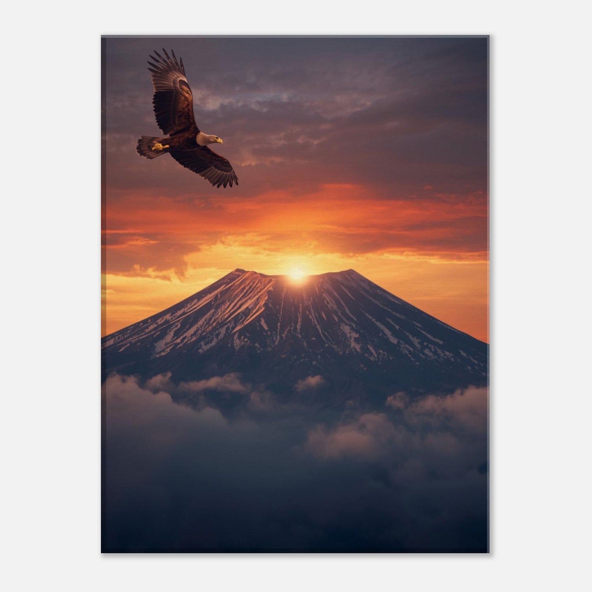 658cb21f-26d1-4cce-a7b0-3b5c0a18cc74