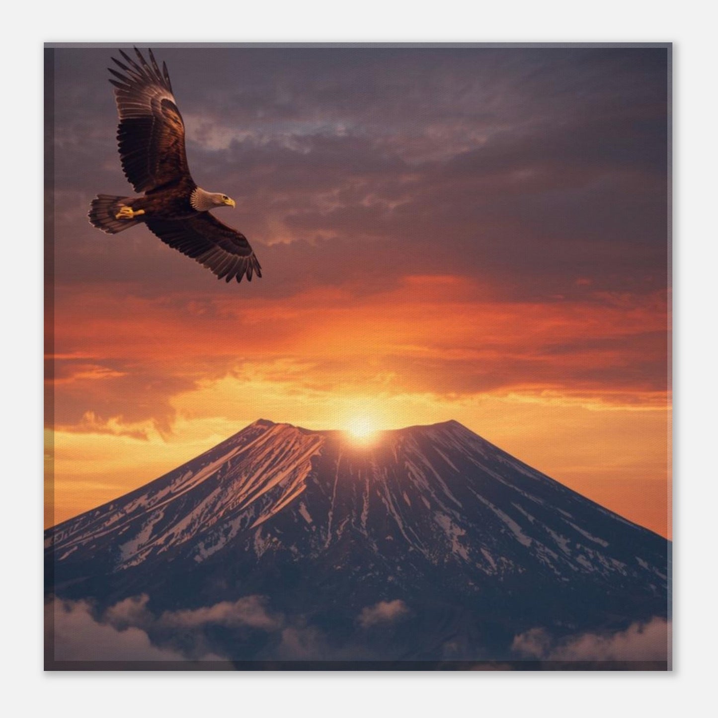 7c8f8e87-522d-4b73-94ac-f3a75563bbc9