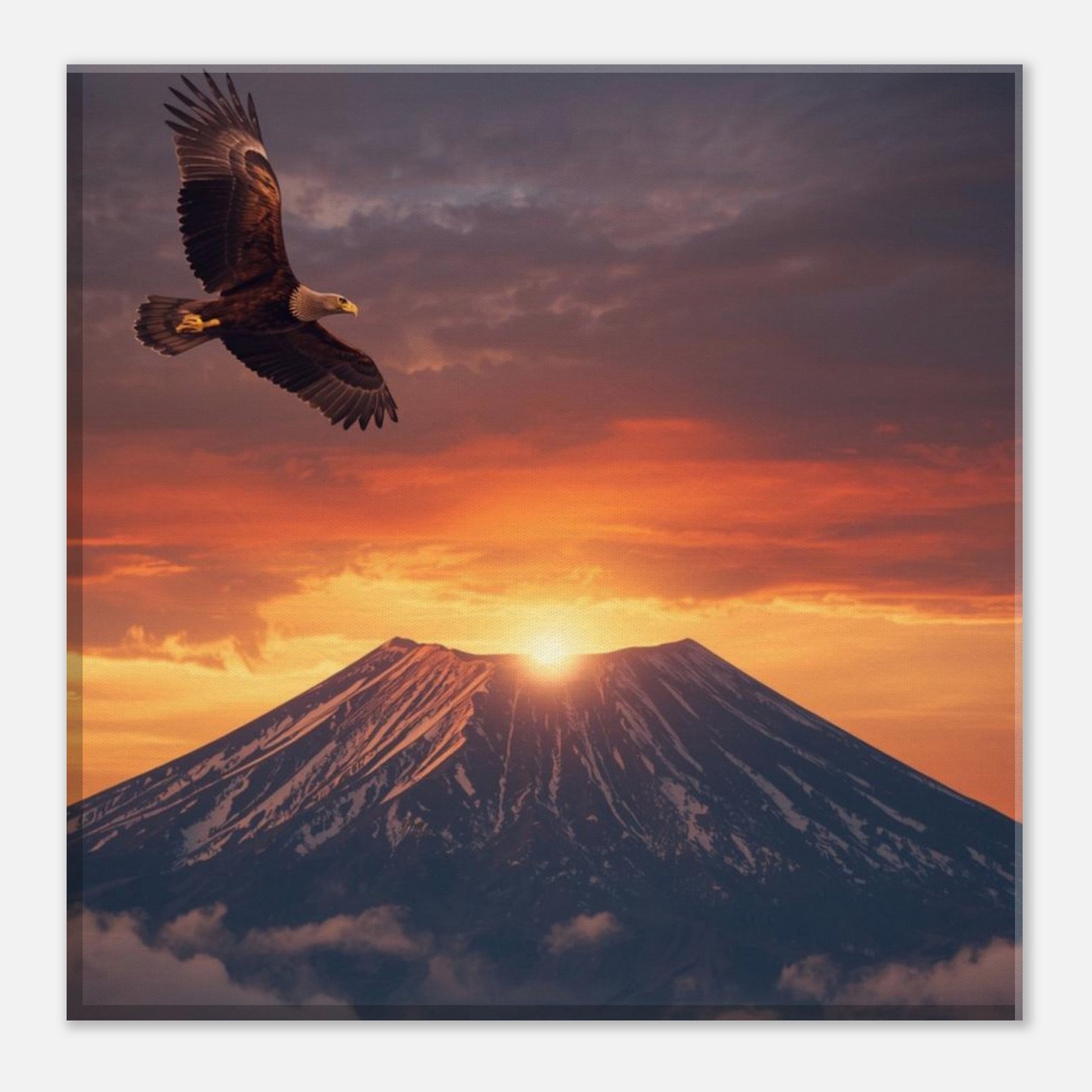 7c8f8e87-522d-4b73-94ac-f3a75563bbc9