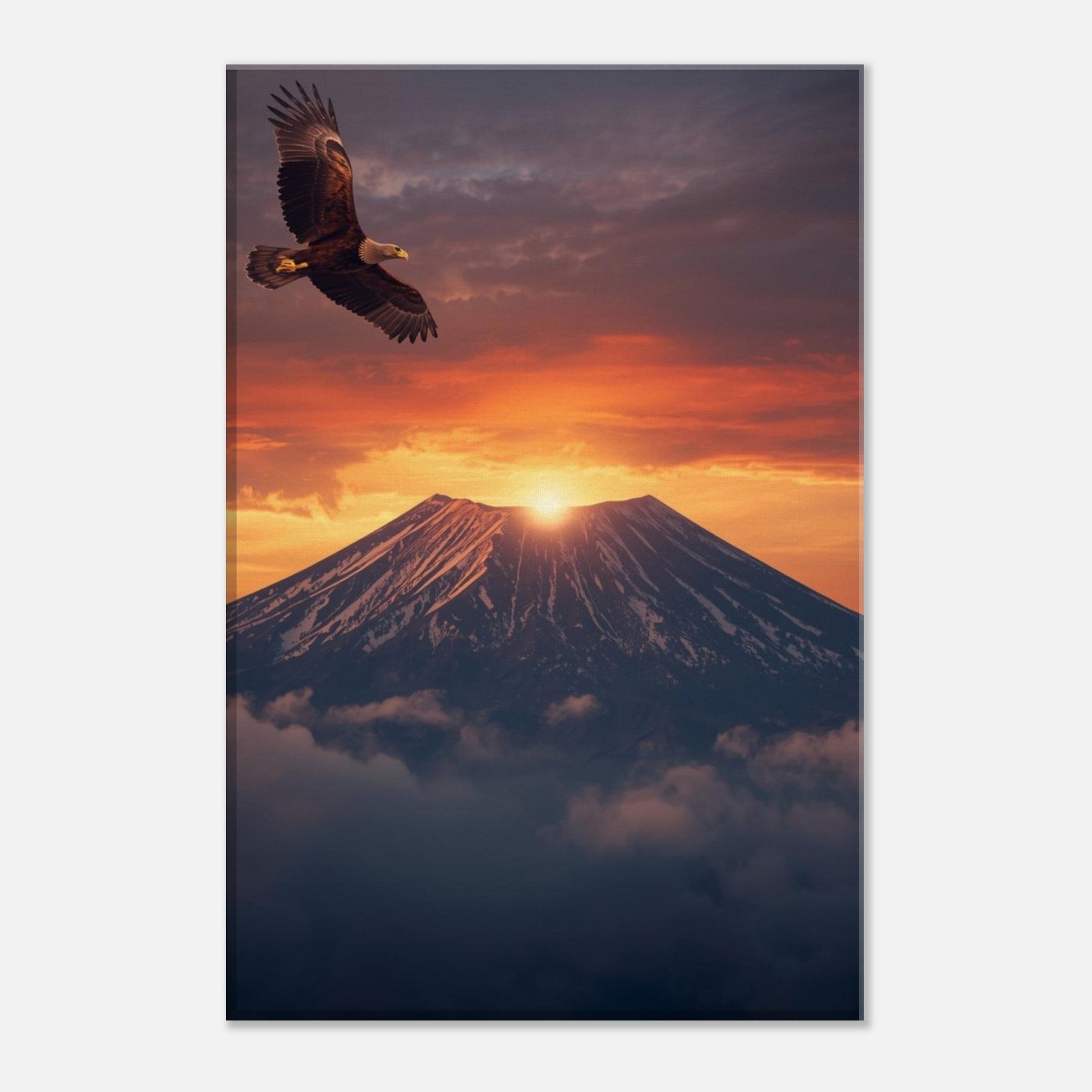 877d8041-638b-4f48-be8b-afe3ba575edd