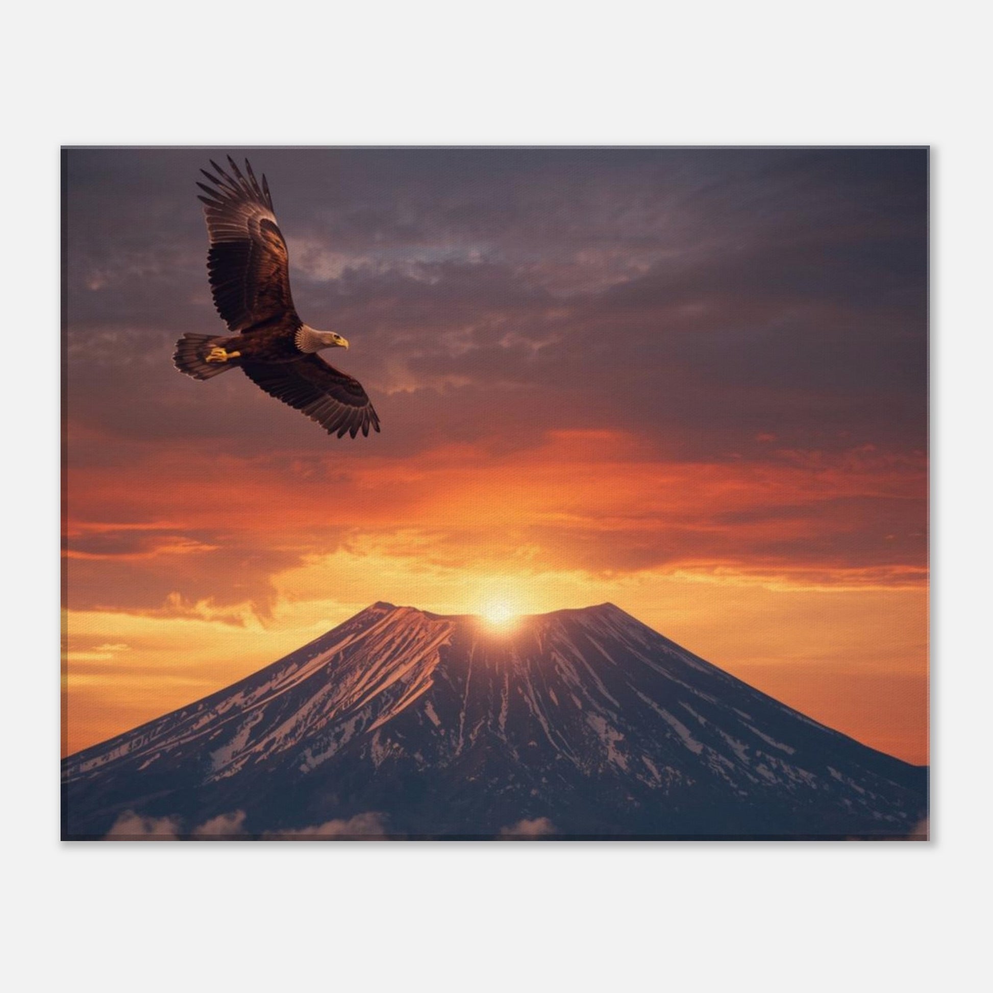 87bd0458-425a-421f-838a-1ddadd3f486b