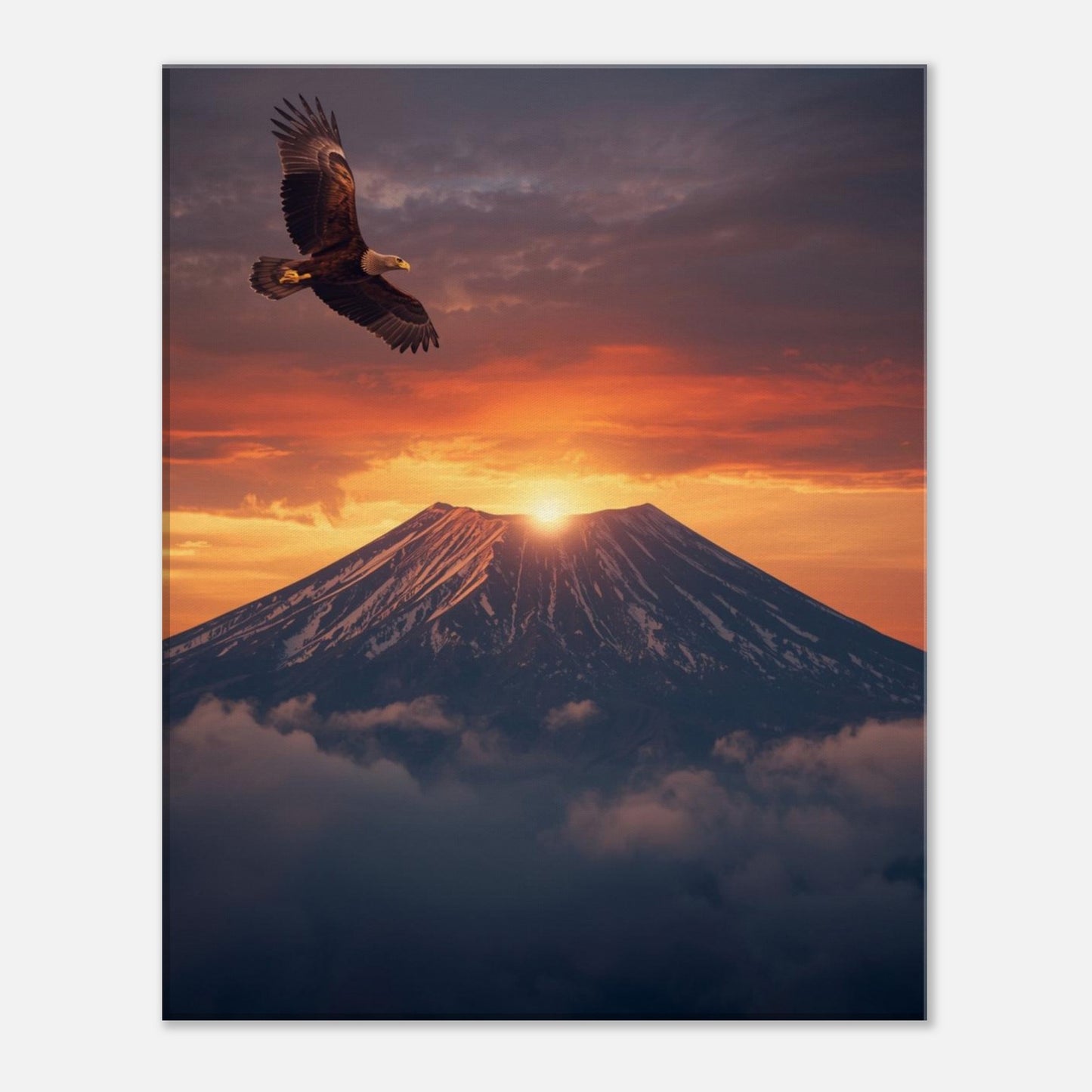 8dfc36c9-4e7d-4e49-a2e8-172190a98797