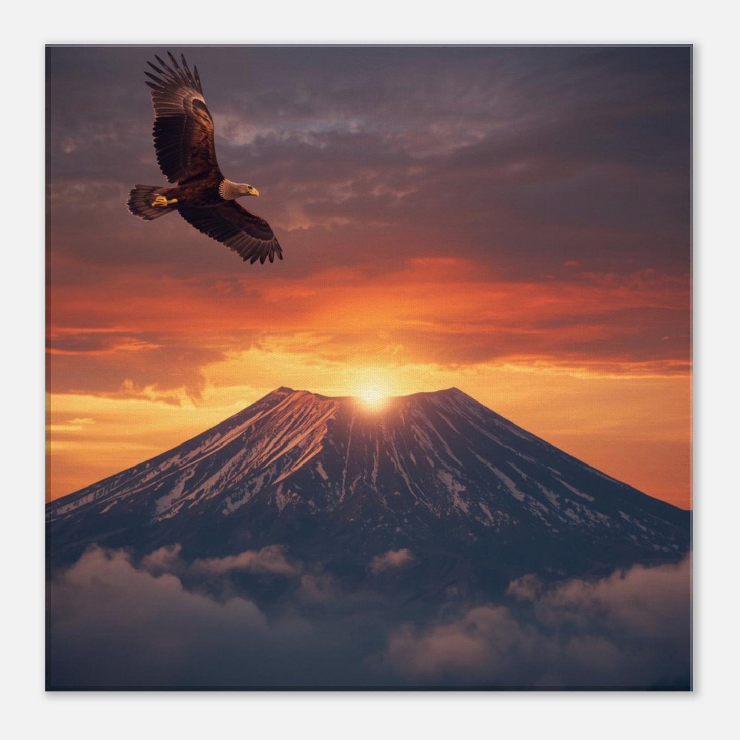 9d021f80-93d2-499b-ba49-edd608959480