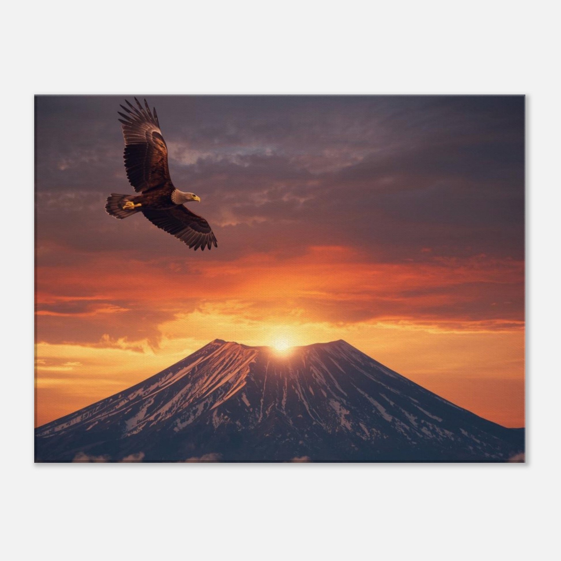 a87adbdc-5ff4-4d5e-86ad-05175a985ff2