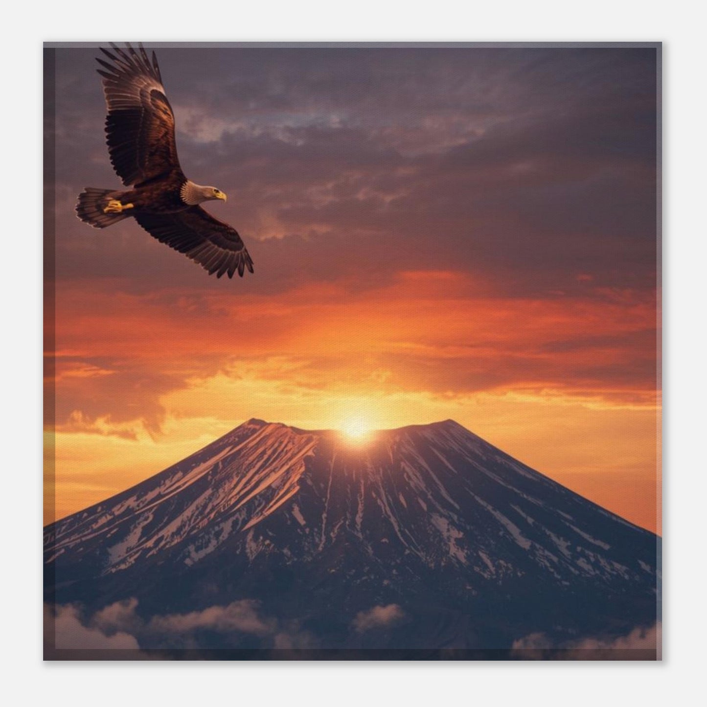 a8bc5b47-d1fb-4eb1-8221-d866e86b3108