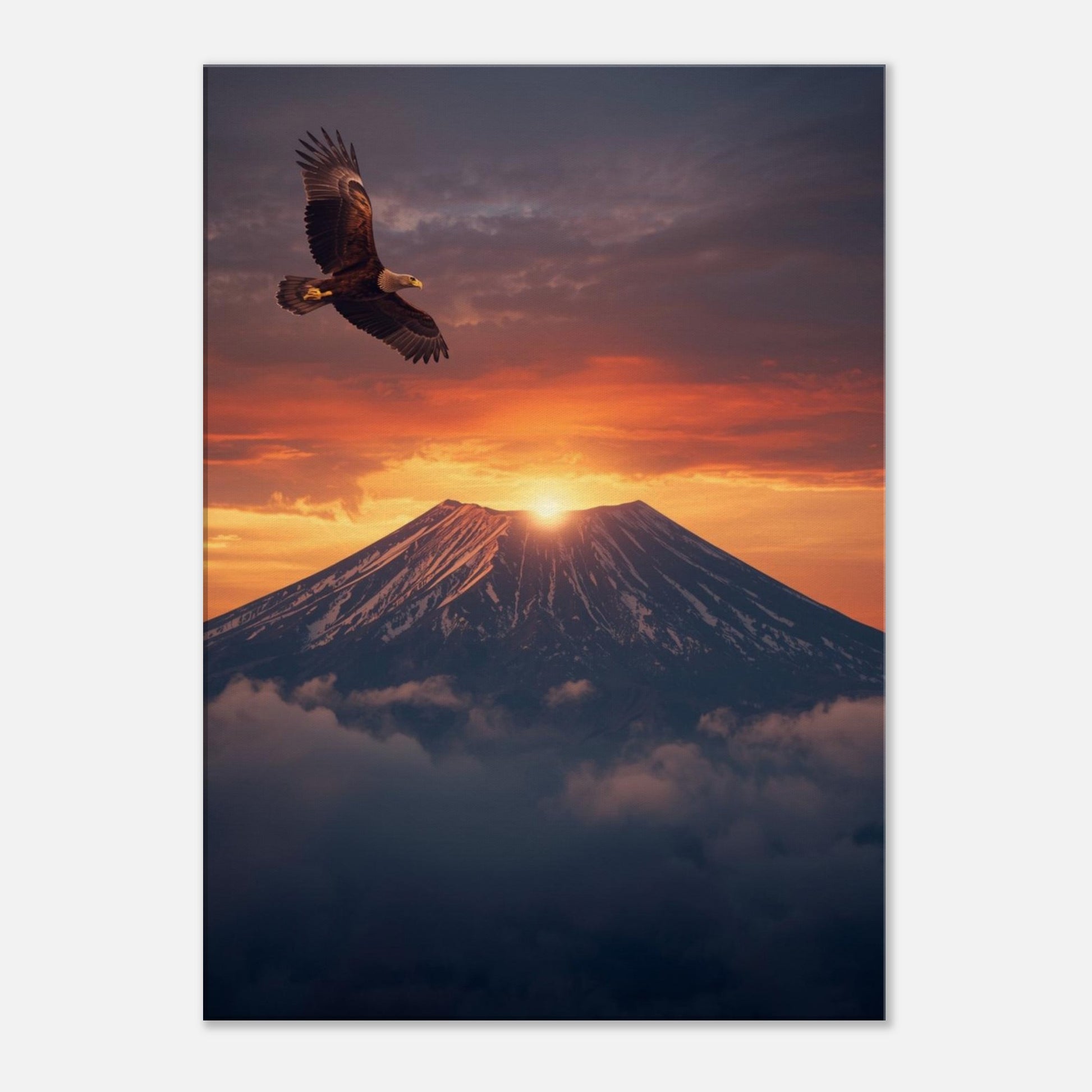 b13ce8d4-6dec-409b-9de5-f6112c183de9