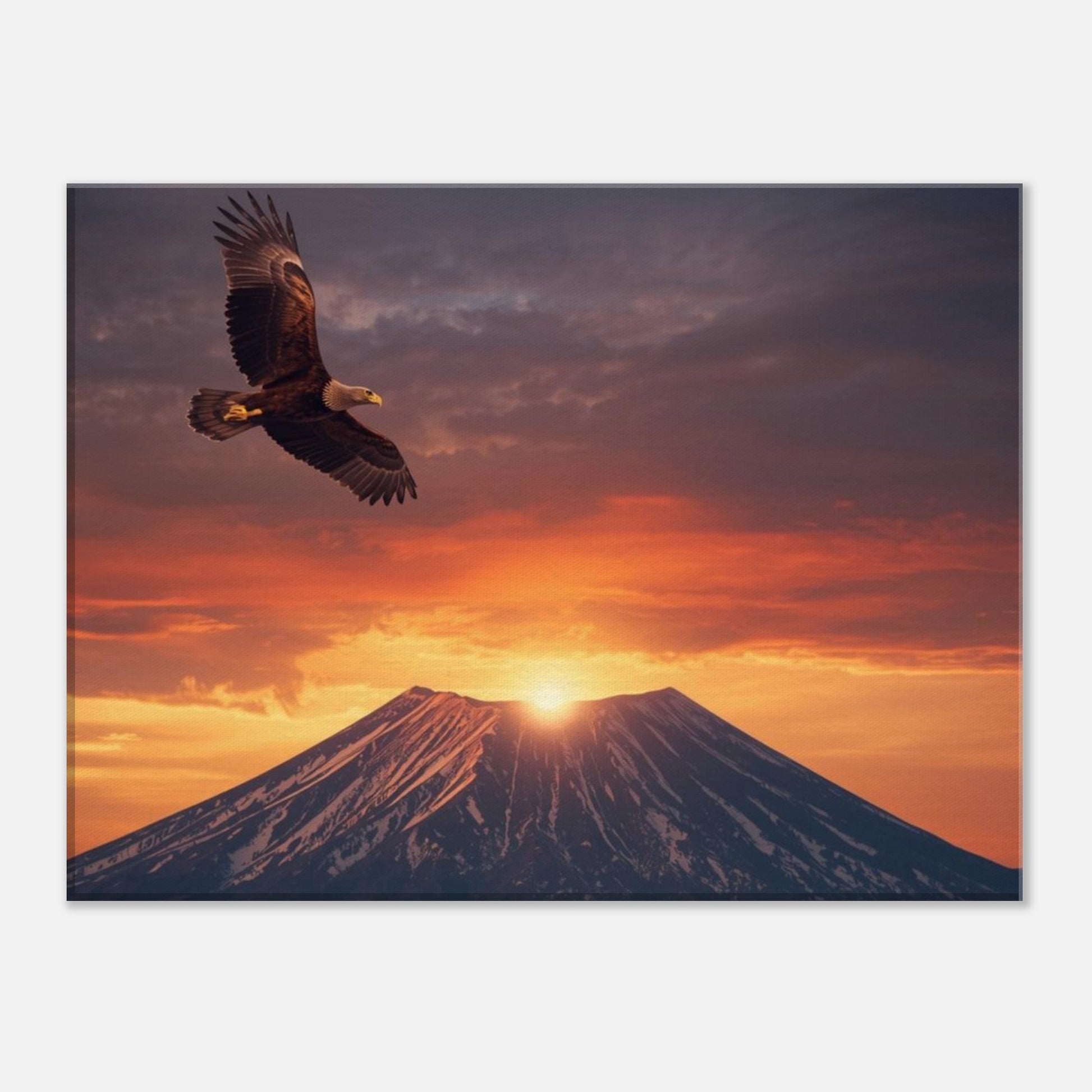 b3a27b15-ac3d-4718-81b0-0f32f96d507c