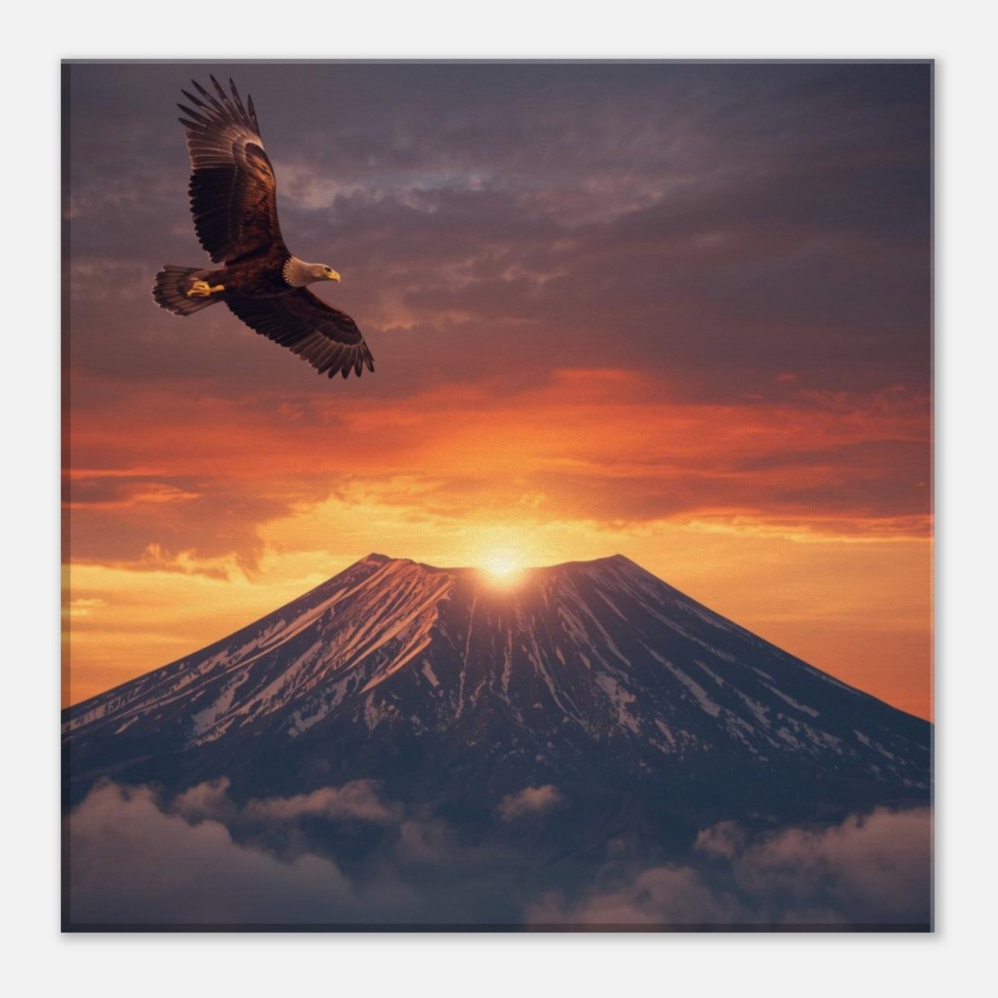 bb9aa460-abed-4aa2-917a-1b358ad6805f