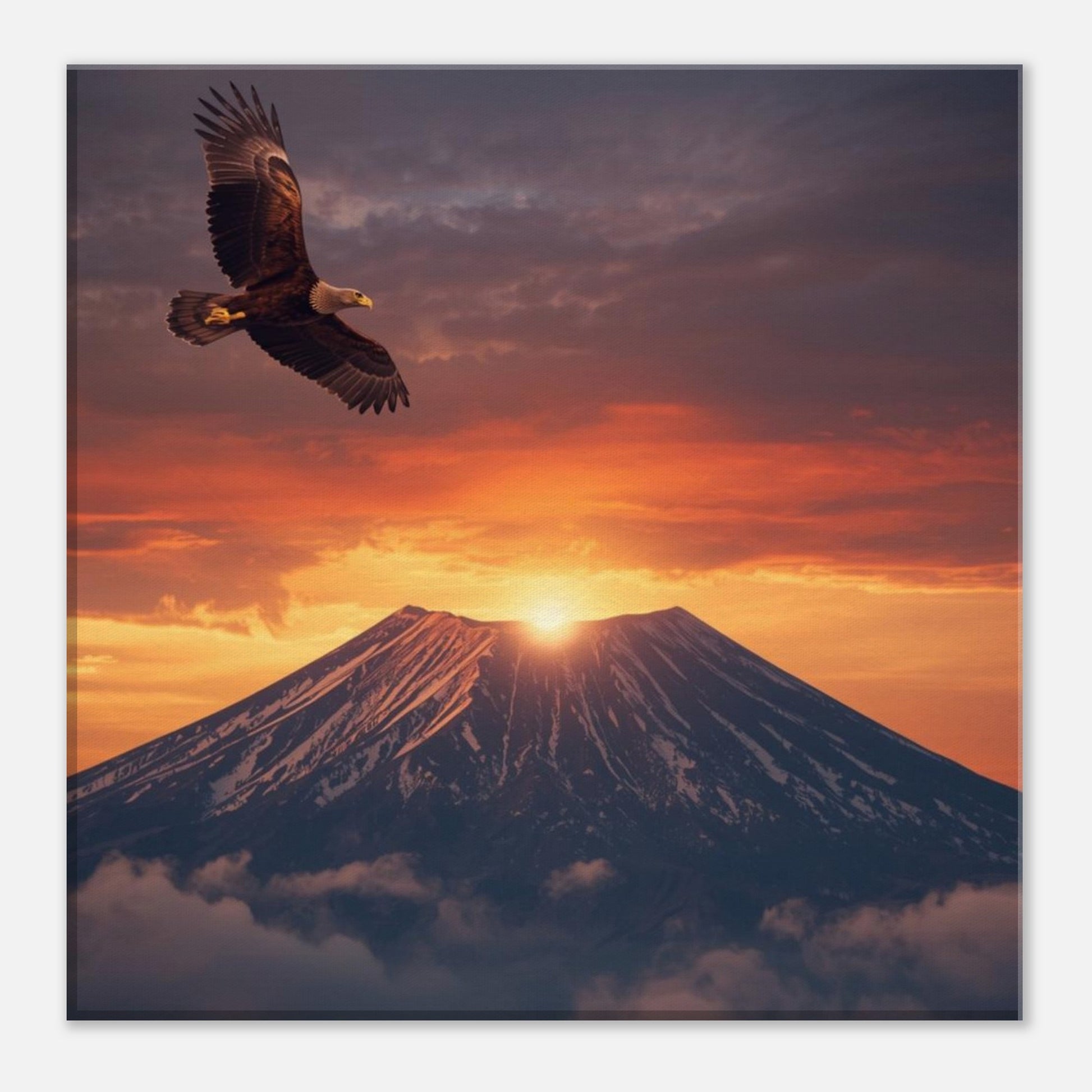 bb9aa460-abed-4aa2-917a-1b358ad6805f