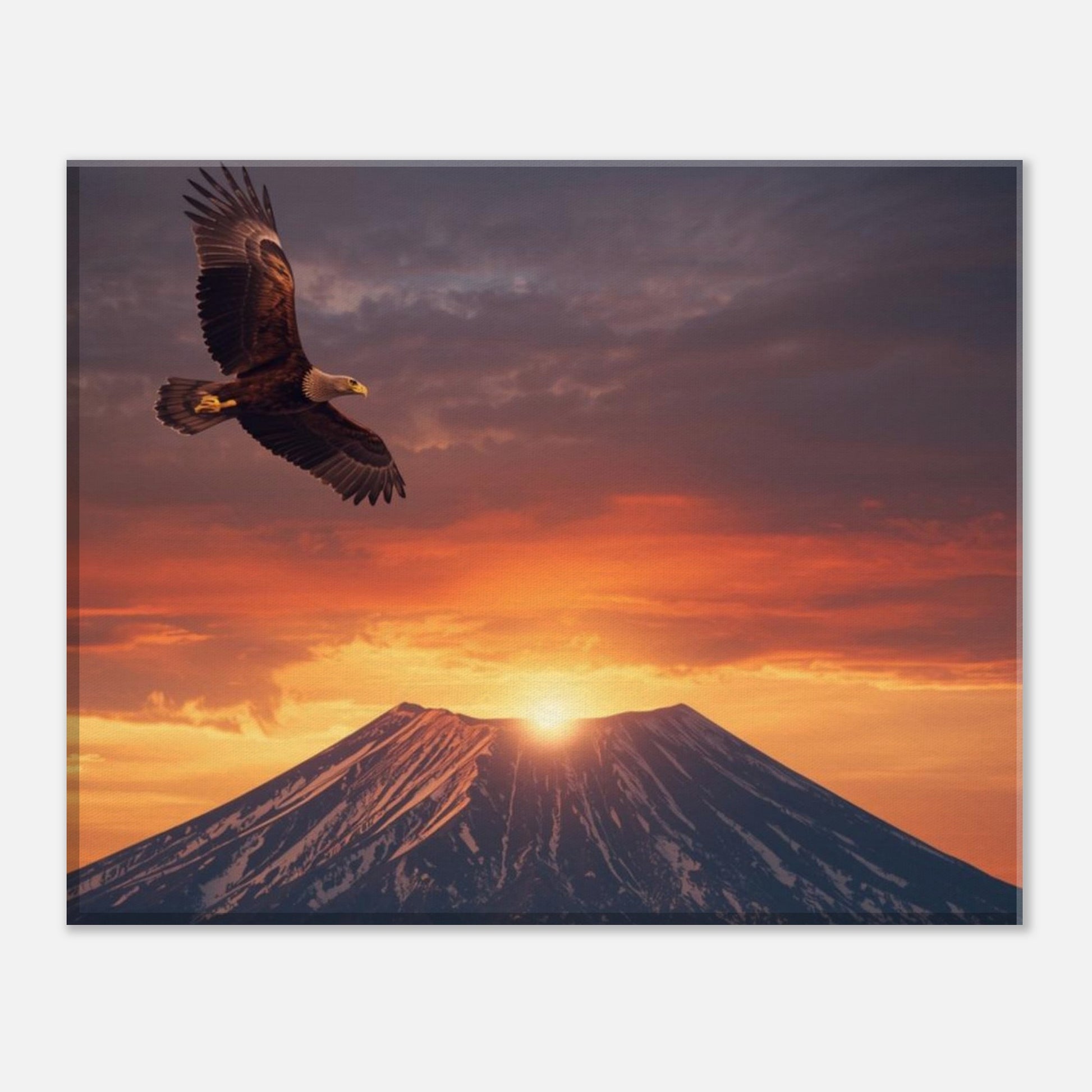 c21b1e43-d8aa-4548-a117-97e3f8baf377