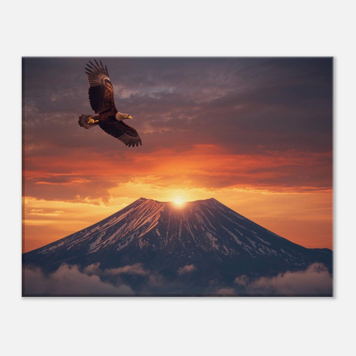 d97ea537-49c8-432d-9c8b-9f4e4dc39aae