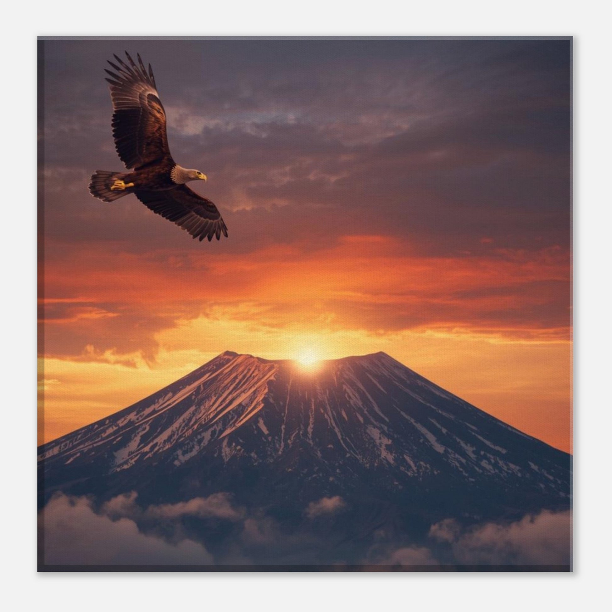 dade6e21-e9d0-494b-b581-81cfbed57bef