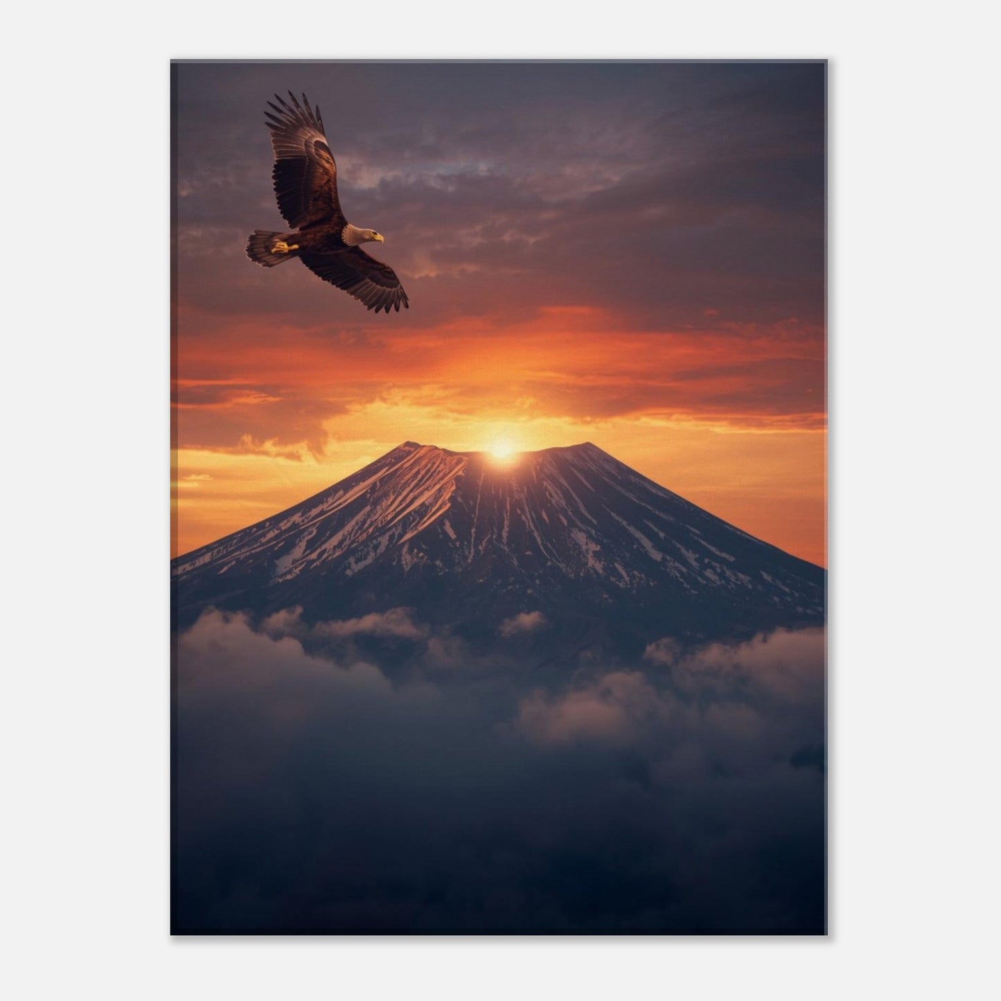 db1e933e-fd1a-4d65-850d-8e1f161d4ed3