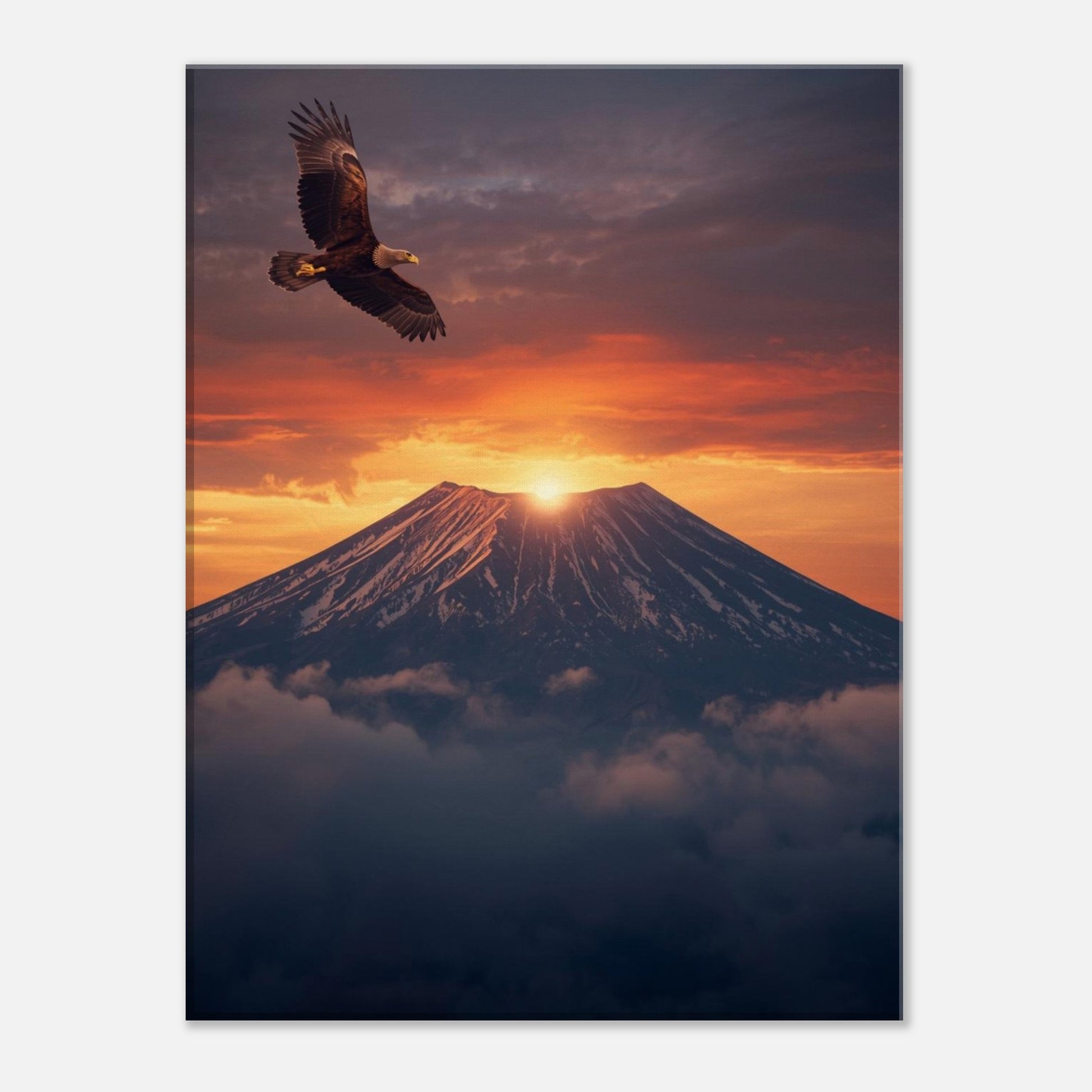 db1e933e-fd1a-4d65-850d-8e1f161d4ed3