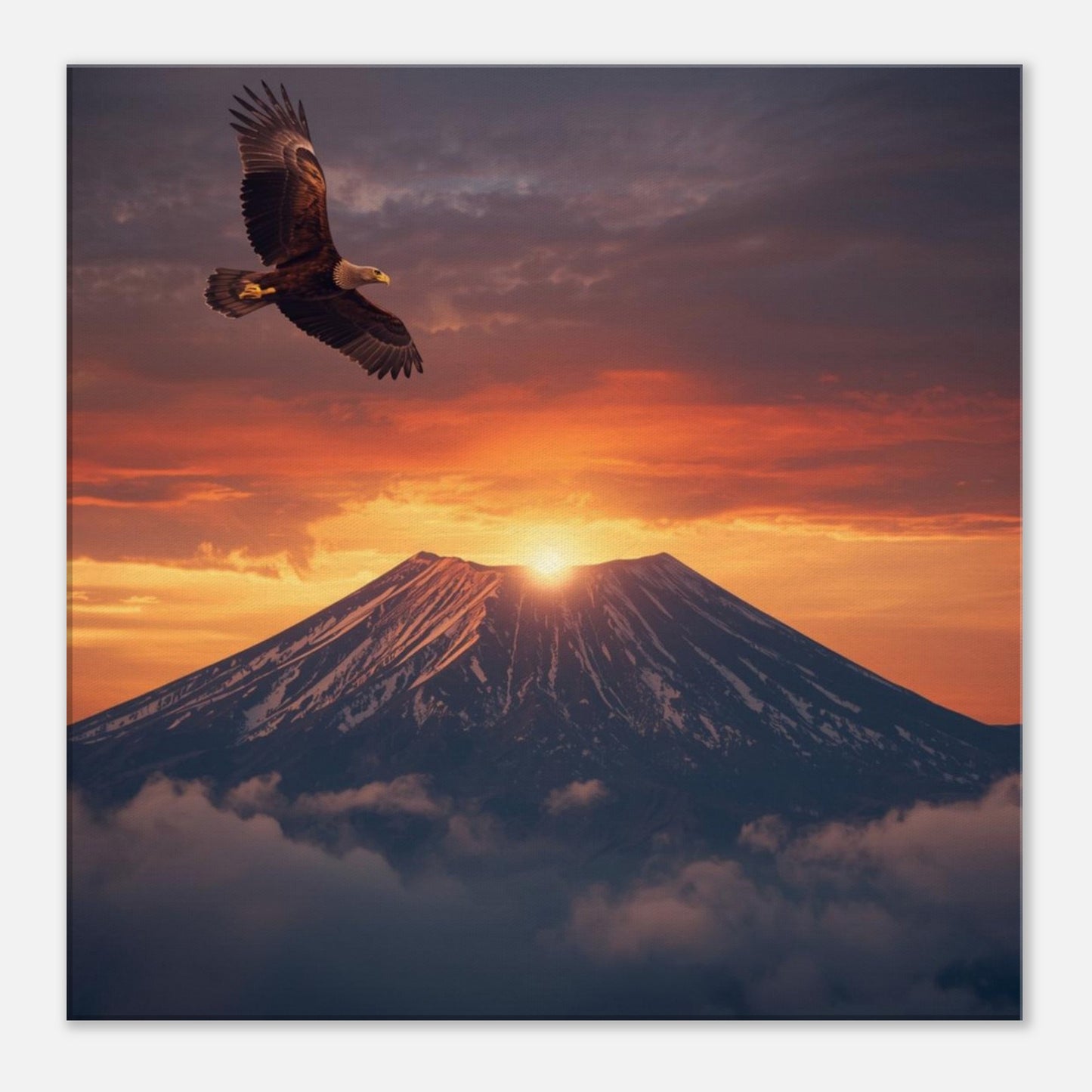 e175aa32-1e97-4abb-b6be-08935d7bcae6