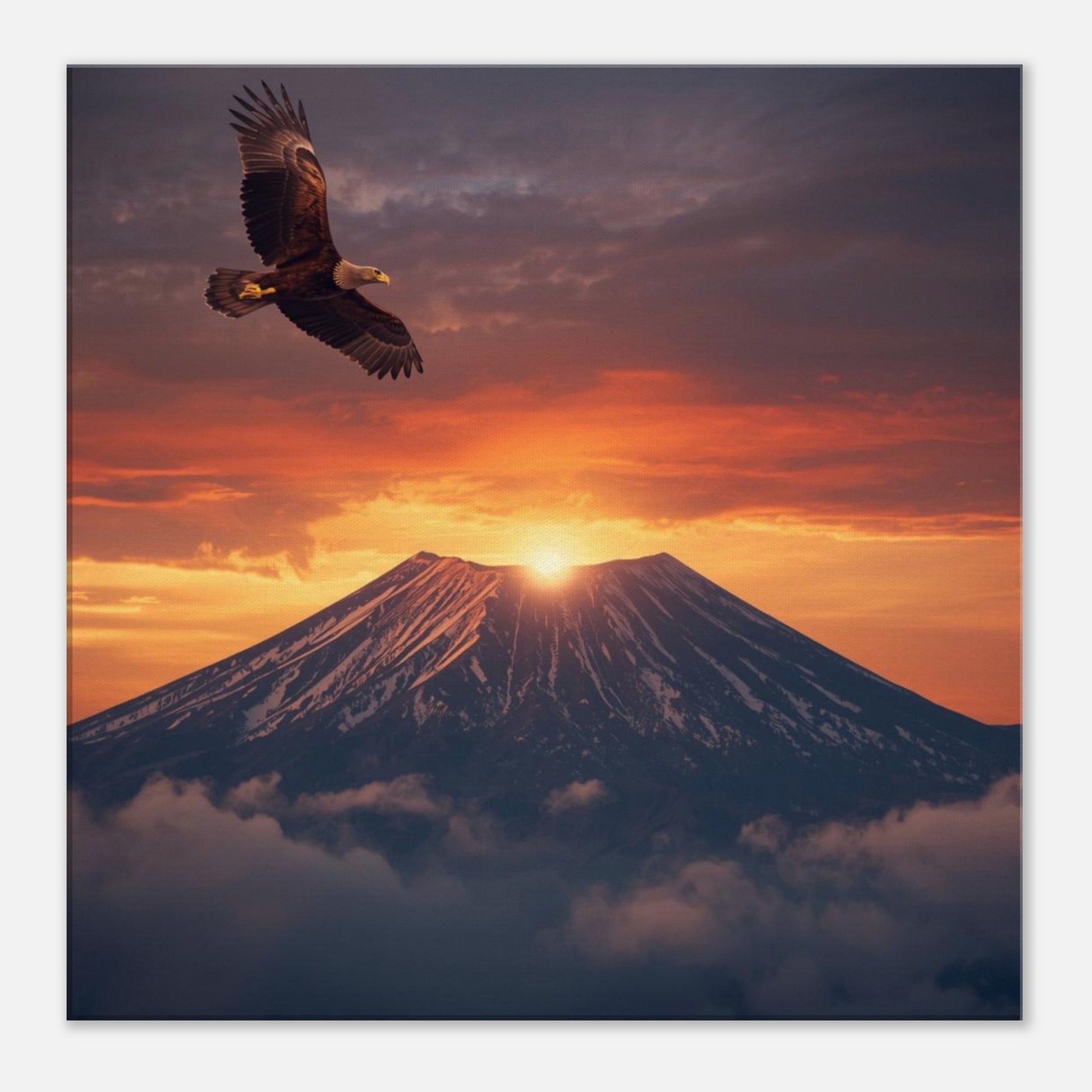 e175aa32-1e97-4abb-b6be-08935d7bcae6