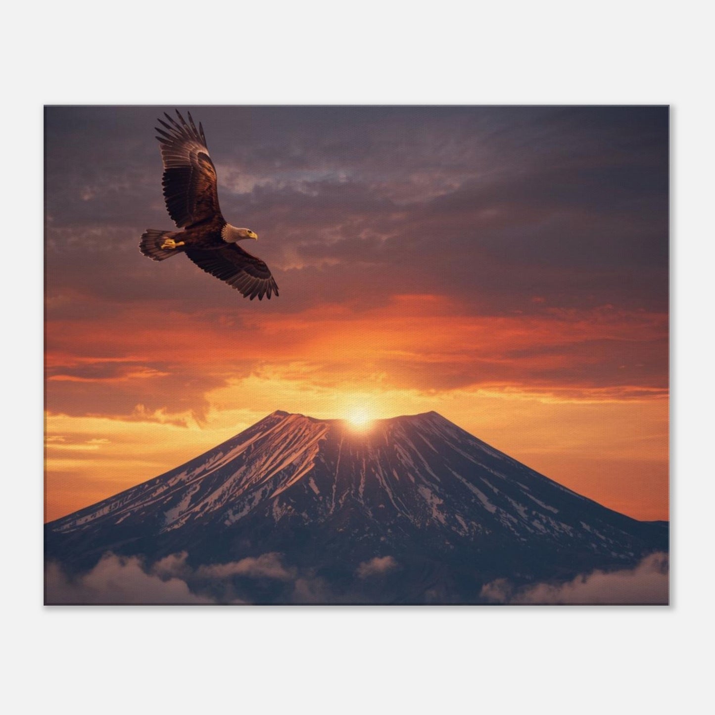 eb2160bb-5e99-4438-b093-2248dd96b619