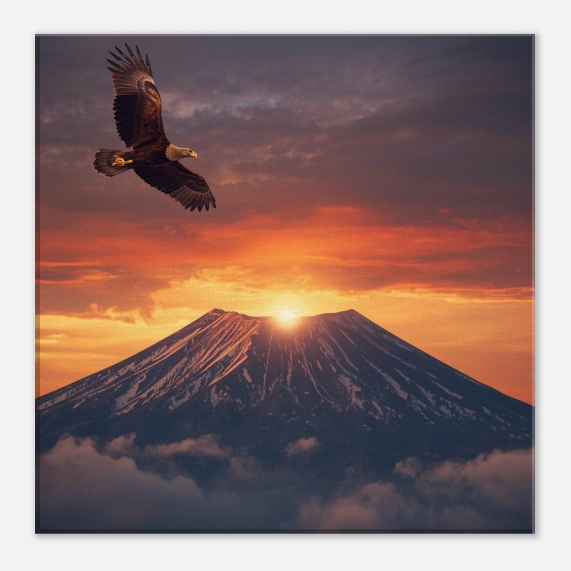 f16fb0ce-b21a-4587-a8ff-4e7f2df79170