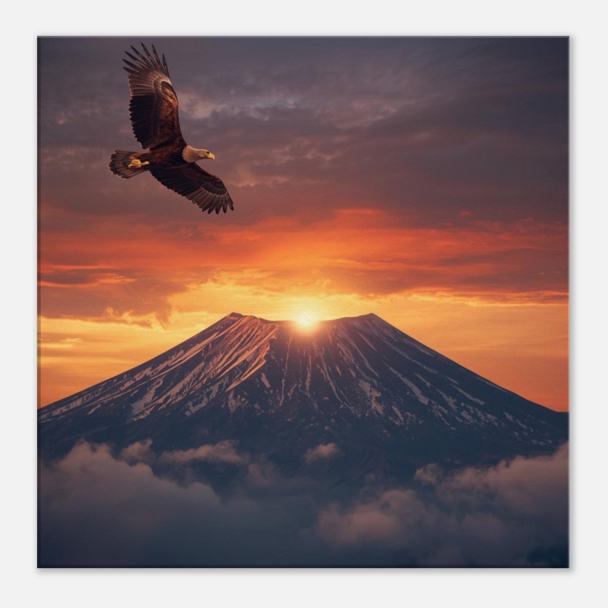 f72410c5-816c-42c6-94cb-9c45d706140d