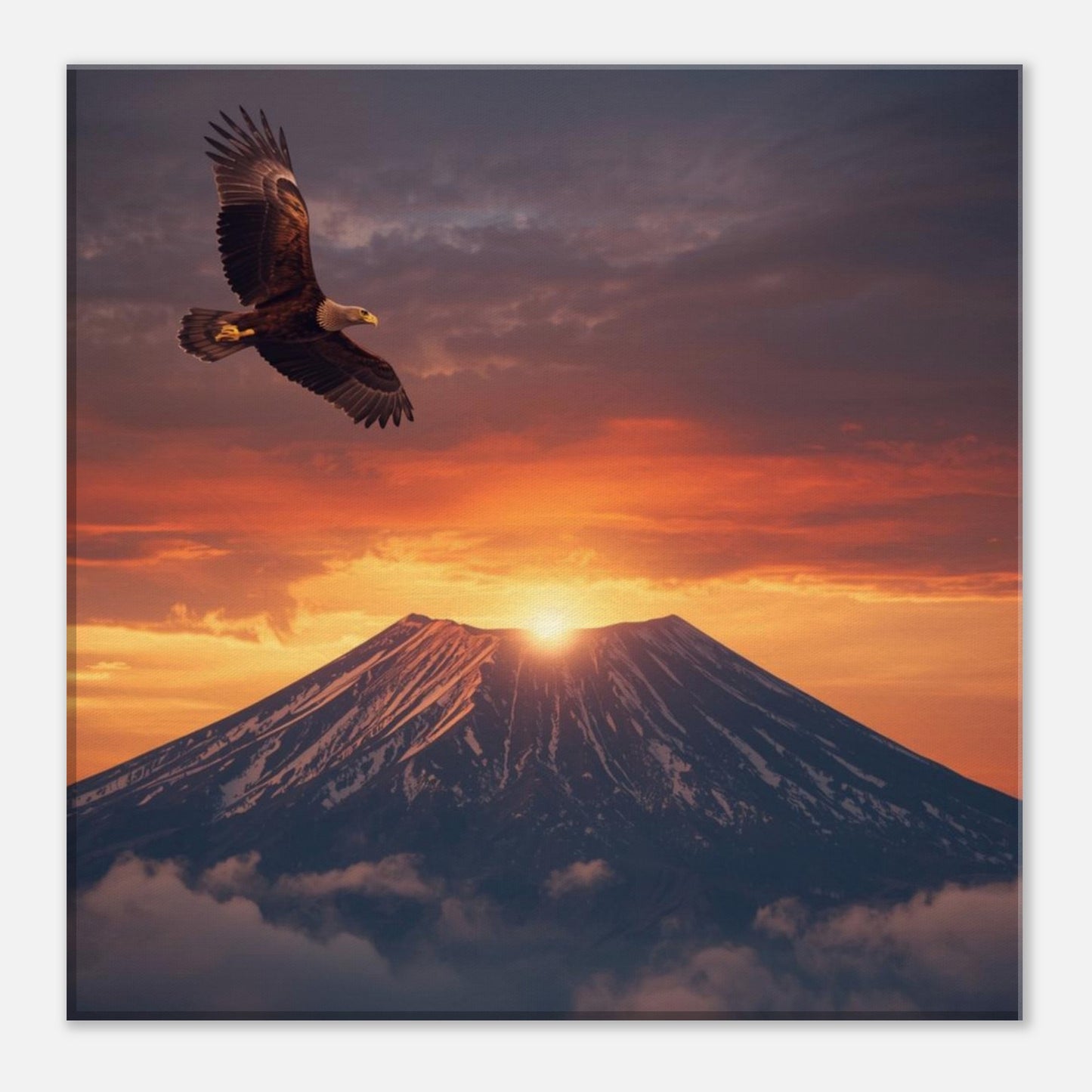 ffa0aea2-11bb-4bff-a783-3f1da5c95abf